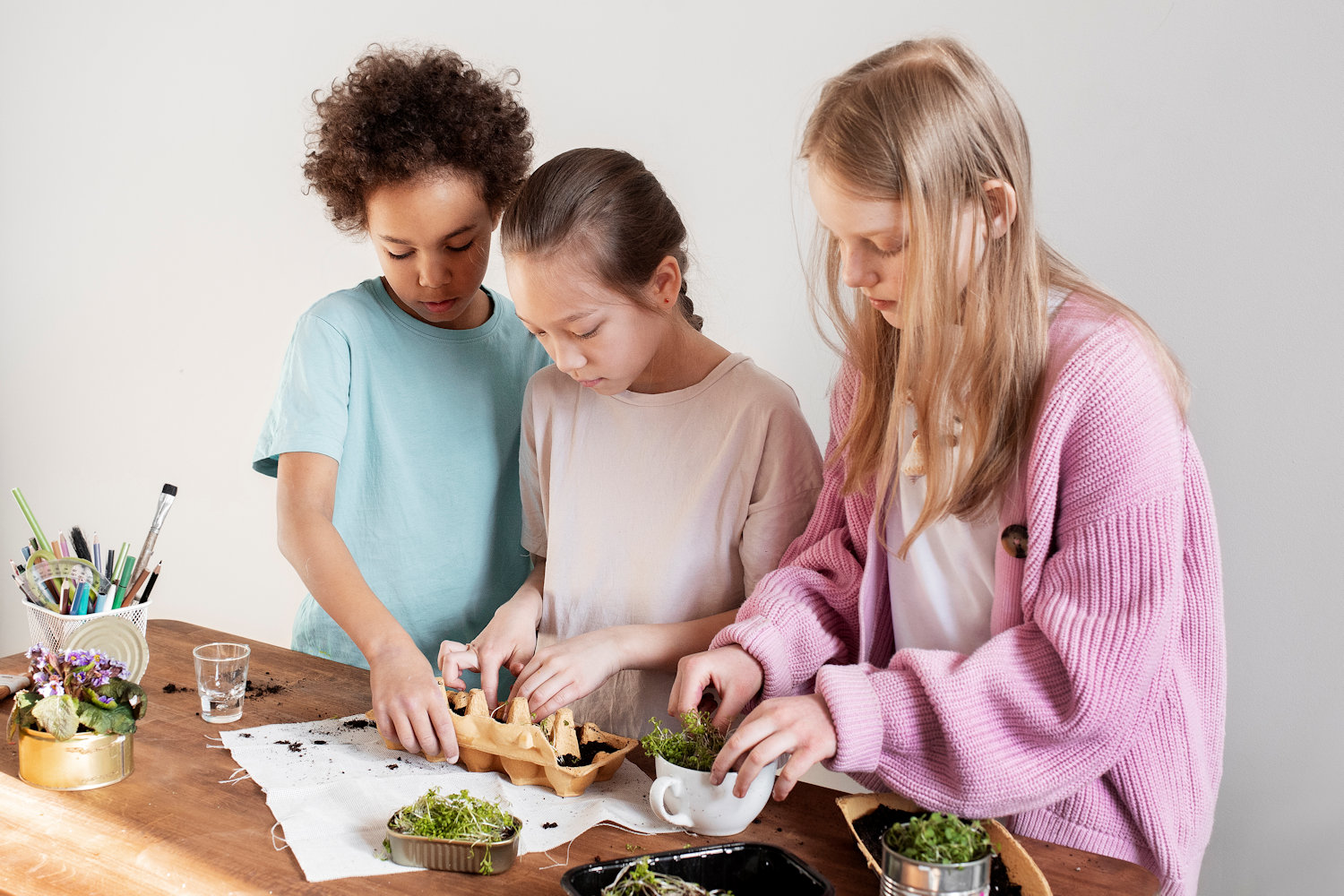 Educat STEMBOX